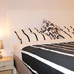 The Delight *